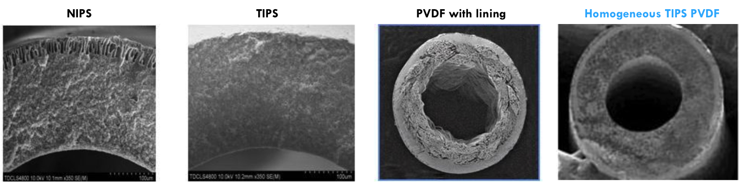 : SEM picture of different membranes